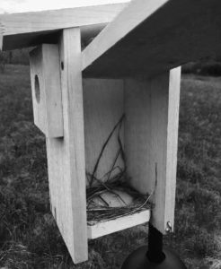 open birdhouse