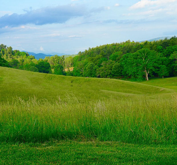 fields